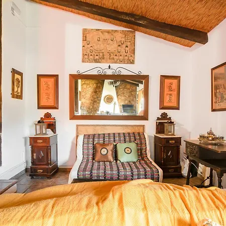 Pet Friendly In
